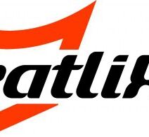 Catlike